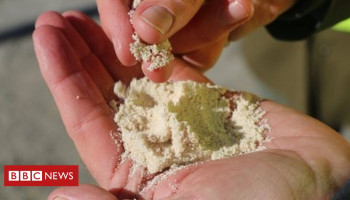 Tecnologia promete remover CO2 do ar e transformar em pó