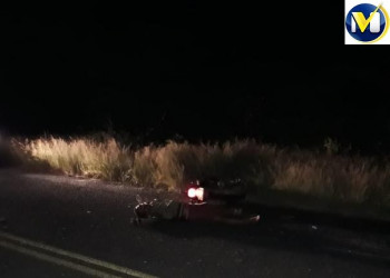 Motoqueiro morre ao colidir com animal na estrada na PI 143