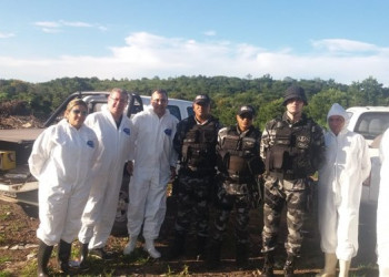 Governo decreta estado de emergência zoossanitária em Lagoa do Piauí