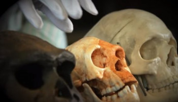 Homo Luzonensis: Nova espécie humana é descoberta