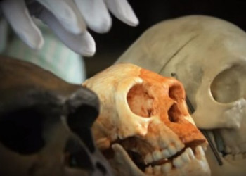 Homo Luzonensis: Nova espécie humana é descoberta