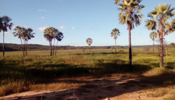 A Lagoa do Fidalgo pede socorro
