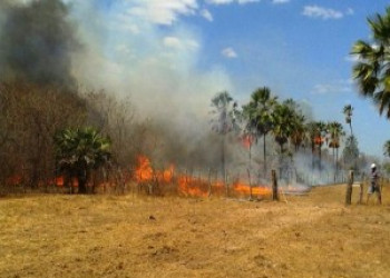 Incêndio atinge área do monumento Heróis do Jenipapo em Campo Maior