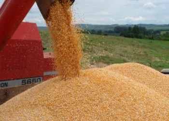 Produção de grãos deve ter queda no Piauí, mas ainda será recorde