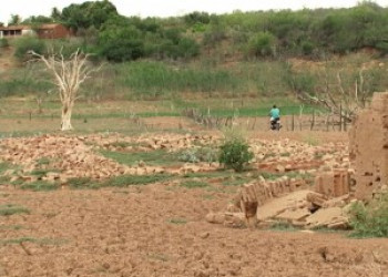 Por causa da seca, queda na safra agrícola do PI é a maior em 14 anos