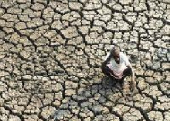 Agricultor afirma que se comprar água falta comida