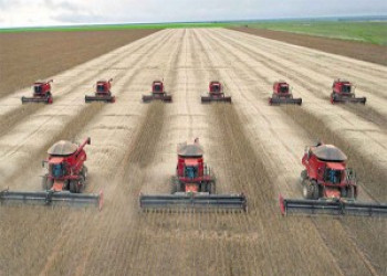 Expansão da soja eleva safra de grãos no país