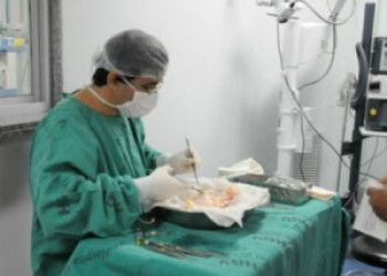 Piauí registrou 19 captações de múltiplos órgãos para transplante