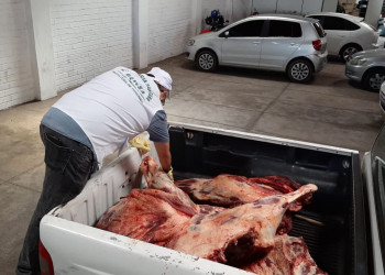 Mais de 170 quilos de carne clandestina são apreendidos em açougues de Teresina
