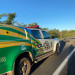 Ciclista morre em acidente na PI-477, zona rural de Pedro II