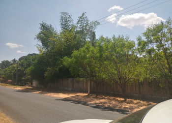 Árvores sobre a rede elétrica na Cacimba Velha preocupa moradores