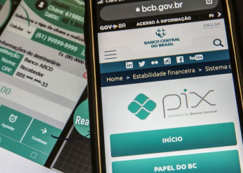 Mais de 40 órgãos federais aceitam pagamento de taxas via Pix