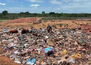 MP denuncia prefeitos que mantém 'lixões a céu aberto' em municípios piauienses