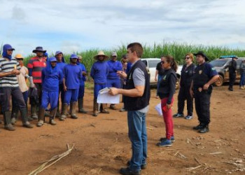 Trabalho escravo: 78 piauienses são resgatados em fazenda de cana de açúcar em Goiás