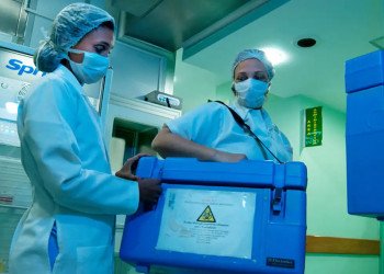 Cursos da saúde devem abordar doação de órgãos na grade curricular, prevê lei