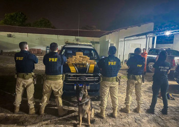 Com ajuda de cão farejador, PRF flagra 20Kg de cocaína dentro de carro em Picos