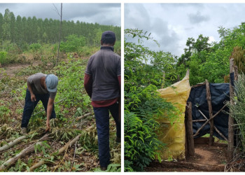 Trabalhadores em situação análoga à escravidão são resgatados de fazenda em Itaueira