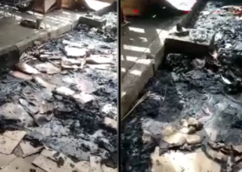 Gatos morrem carbonizados em incêndio dentro de abrigo na zona norte de Teresina