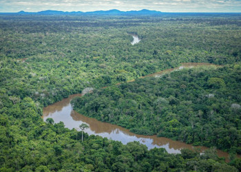 Programa prevê R$ 730 milhões para combater desmatamento na Amazônia