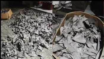 Justiça concede liberdade a chineses presos com barbatanas de tubarão em Parnaíba