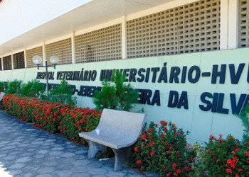 Hospital Veterinário da UFPI suspende atendimentos temporariamente