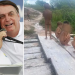 Bolsonaro repassou a ONG evangélica verbas destinadas para yanomamis