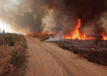 Incêndio é controlado em Canto do Buriti após 10 dias; 9 mil hectares destruídos