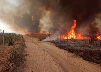 Piauí registrou mais de 10 mil queimadas este ano; saiba como denunciar