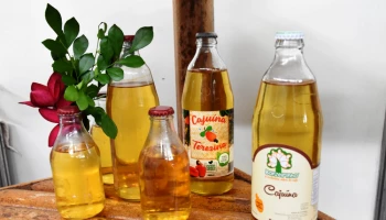Festival da Cajuína 2025 celebra tradição e cadeia produtiva no Piauí; veja programação