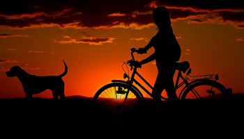 Caminhadas e corridas com cães exigem cuidados e preparação