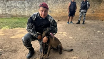 Teresina terá sua primeira corrida oficial para cães e tutores