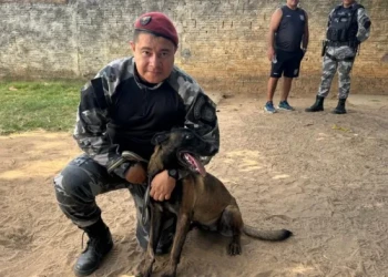 Teresina terá sua primeira corrida oficial para cães e tutores