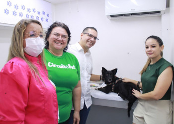 Piauí Pet Castramóvel já atendeu 1.500 animais desde o ano passado