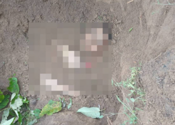 Corpo de mulher é encontrado em cova rasa no litoral do Piauí