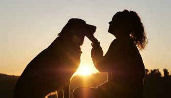 Cuidados anuais garantem a saúde dos cães e gatos
