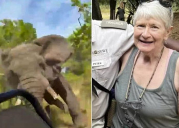Turista de 79 anos morreu ao ser atacada por elefante durante safari na África