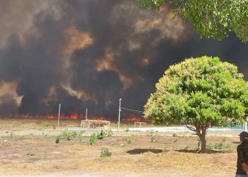 Grave incêndio ameaça vegetação e Parque Serra das Confusões no Sul do Piauí