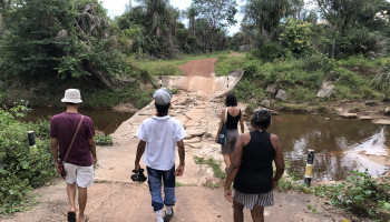 Teresina recebe Exposição “Árvore que Arranha” nesta quarta-feira (11)