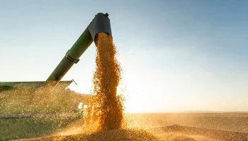 Exportações do Piauí sobem 45% em setembro e atingem R$ 828 milhões