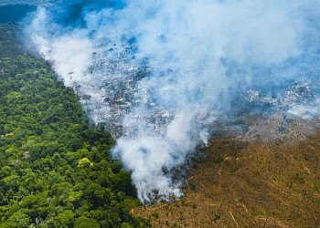 Bolsonaro deixará o governo com aumento de 60% no desmatamento da Amazônia
