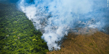 Bolsonaro deixará o governo com aumento de 60% no desmatamento da Amazônia