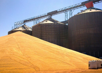 Piauí é citado em projeto de lei para ampliação do armazenamento de grãos