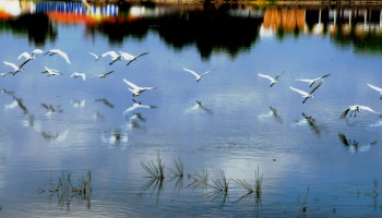 A Foto do Piauí Hoje
