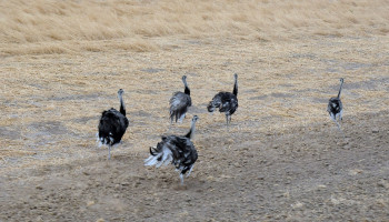 A Foto do Piauí Hoje