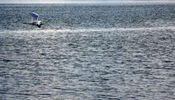 A Foto do Piauí Hoje