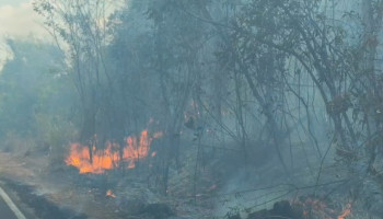 Incêndios devastadores castigam Teresina; zona rural é a mais atingida; veja o vídeo