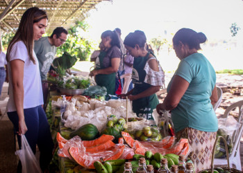 Produtos da agricultura familiar produzidos em quilombo são vendidos em feira