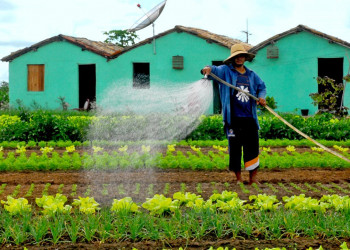 Produtor rural deve atualizar cadastro para manter desconto na conta de energia