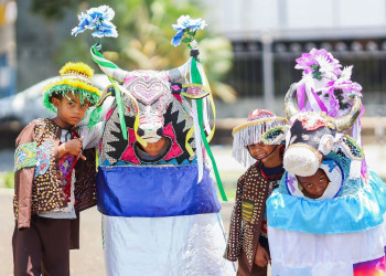 Bumba Meu Boi é declarado Patrimônio Cultural Imaterial do Piauí