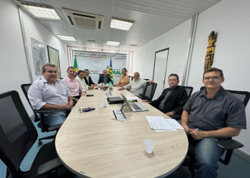 Codin aprova instalação de indústrias que vão gerar R$ 13,5 milhões para o Piauí